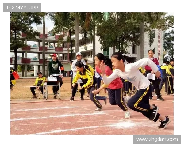 全方位解读体育精神与竞技发展对社会文化的深远影响