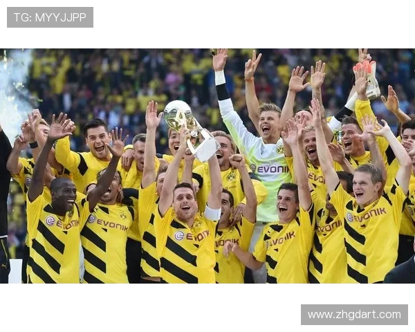 多特蒙德足球俱乐部历史与现状解析及未来发展趋势展望
