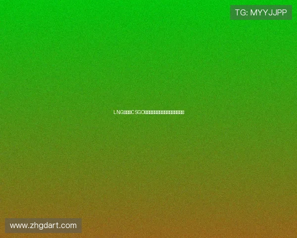 LNG战队在CSGO比赛中防守策略的优缺点分析与总结