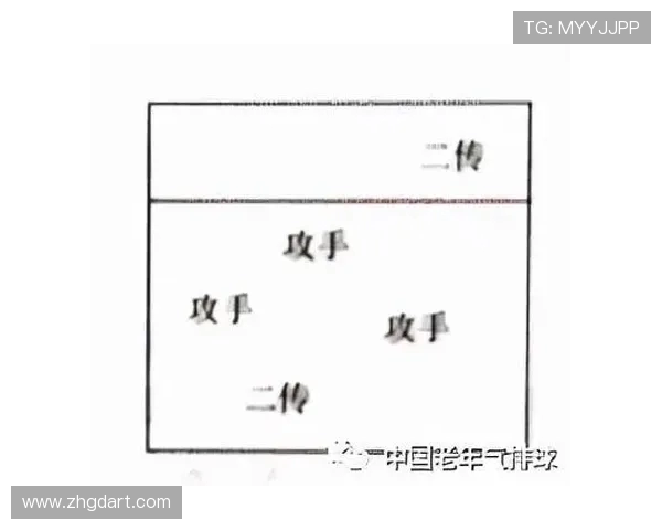 广州排球队与上海排球队对决后的战术分析与节奏探讨