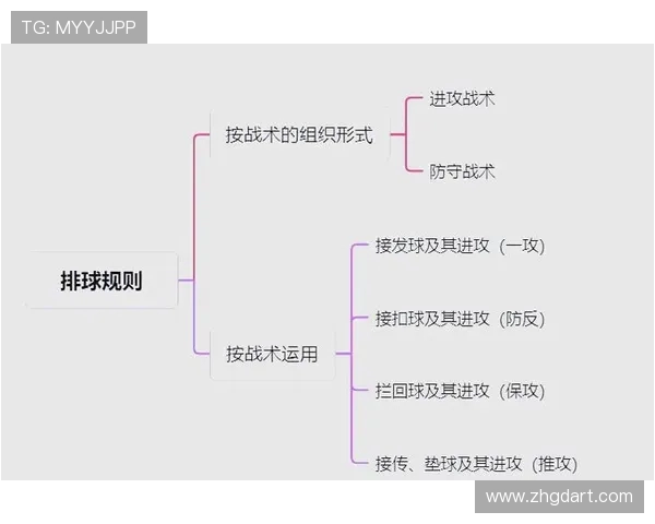 西安排球队中路突破战术解析与实战应用探讨
