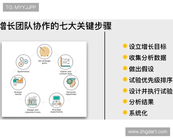 以knight中路为核心解析团队协作与战术执行的关键影响因素 以knight中路为核心解析团队协作与战术执行的关键影响因素